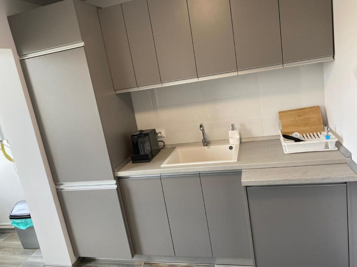 Alesandru apartament Pitesti Bagian luar foto