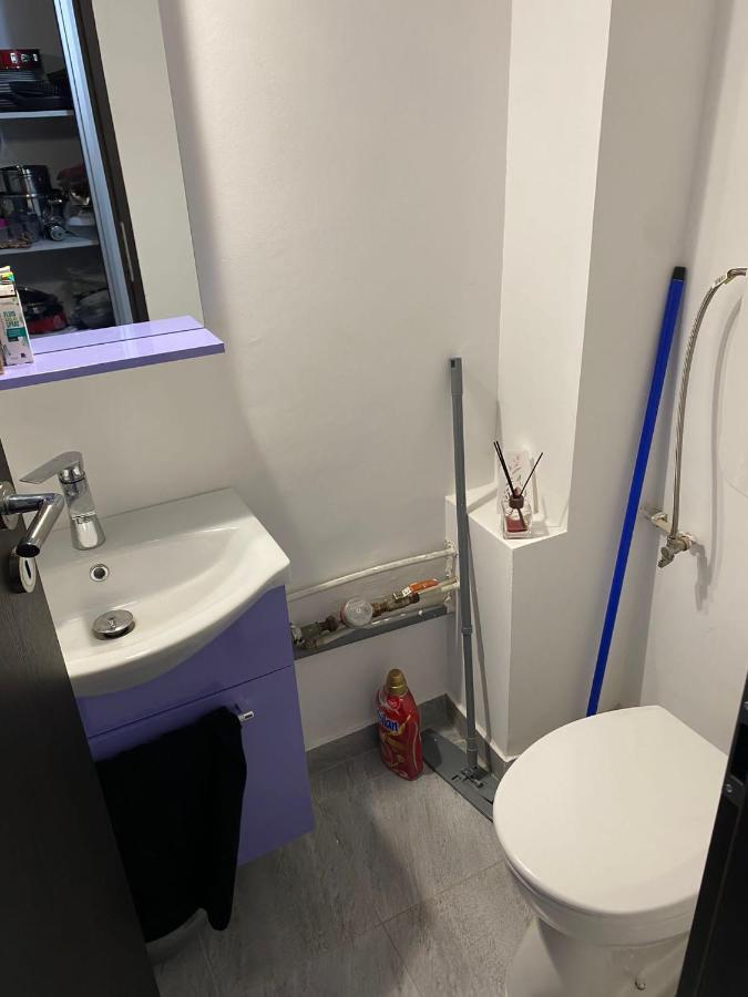 Alesandru apartament Pitesti Bagian luar foto