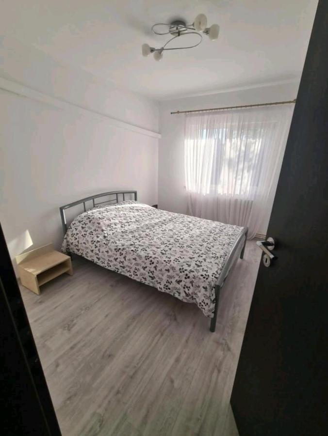 Alesandru apartament Pitesti Bagian luar foto